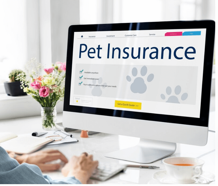 Who Offers the Best Pet Insurance