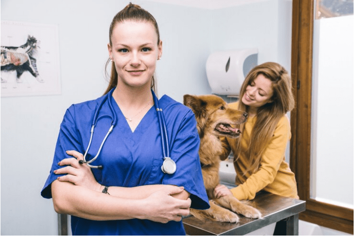 Who Offers the Best Pet Insurance in 2024