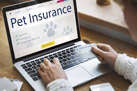 Online Pet Insurance