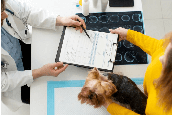 Where Do You Get Pet Insurance