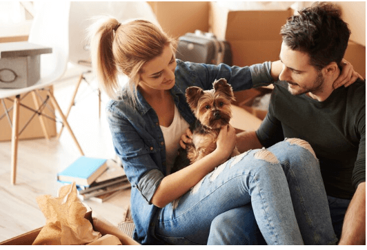 Where to Buy Pet Insurance In 2024 | An Ultimate Guide