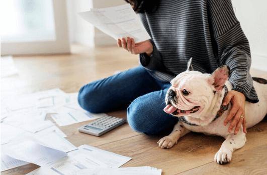 Where to Buy Pet Insurance

