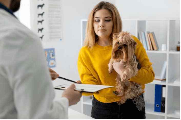 Who Offers Pet Insurance
