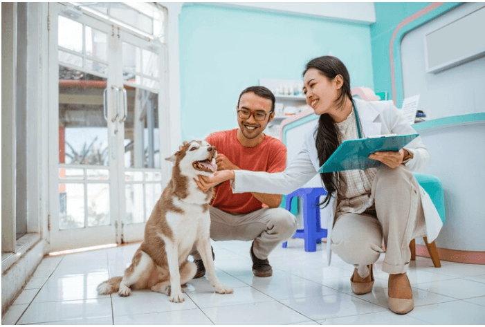 Who Has The Best Pet Insurance