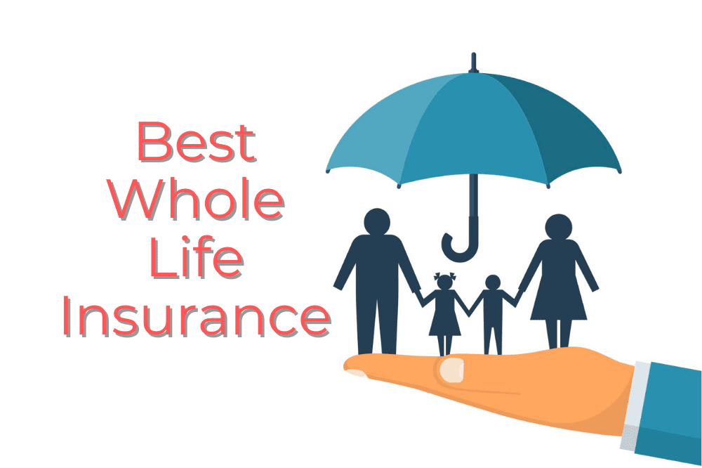 Who Offers the Best Whole Life Insurance Policy